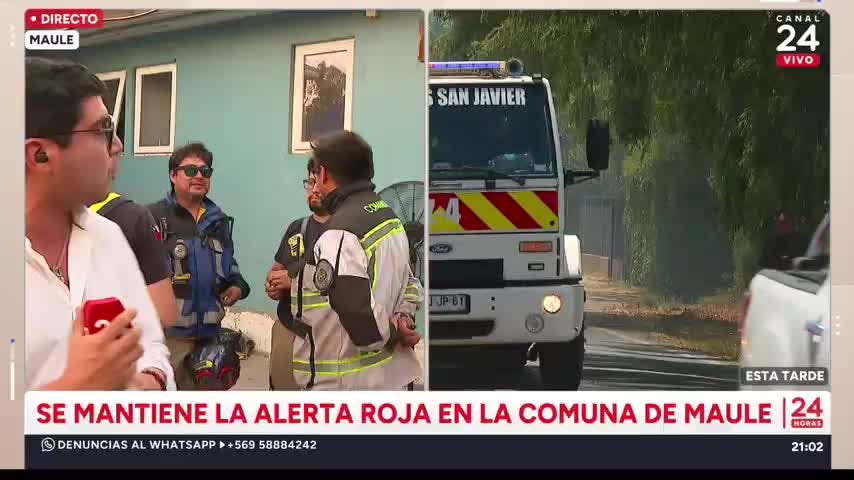 Maule: 1.127 hectáreas afectadas por incendio forestal