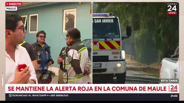 Maule: 1.127 hectáreas afectadas por incendio forestal