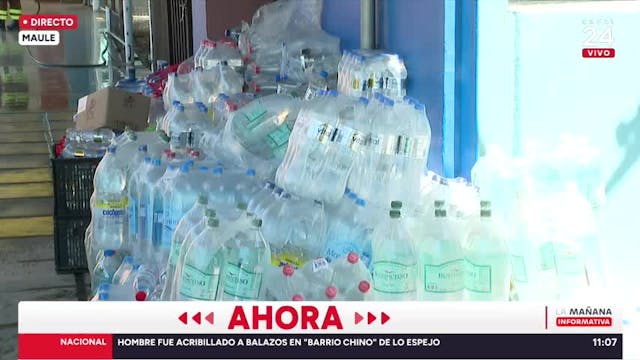 AHORA | Incendio forestal en Maule: más de mil hectáreas quemadas y detienen a sujeto que intentaba iniciar otro foco