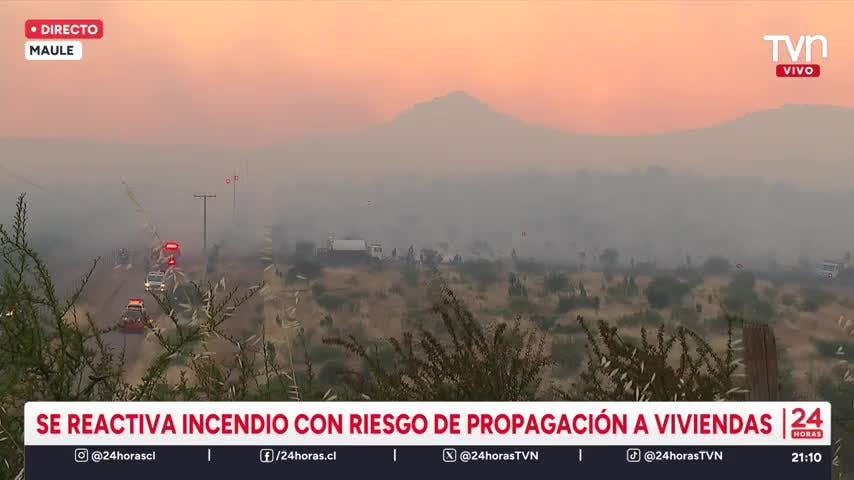 Alerta roja por incendio forestal en el Maule: Hay riesgo de propagación a viviendas