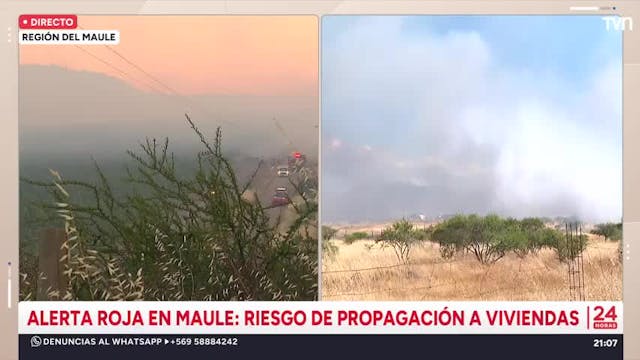 Alerta roja por incendio forestal en el Maule: Hay riesgo de propagación a viviendas