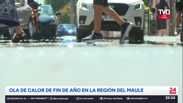 Calor extremo golpea al Maule: temperaturas superarían los 38 grados