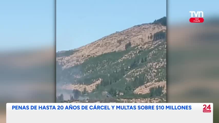 Cuatro personas detenidas por provocar incendios forestales en el Maule