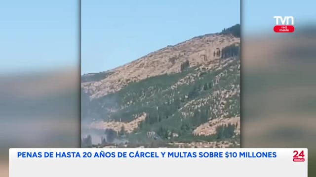 Cuatro personas detenidas por provocar incendios forestales en el Maule