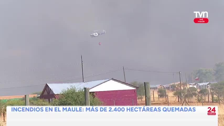 Más de 2.400 hectáreas afectadas por incendios forestales