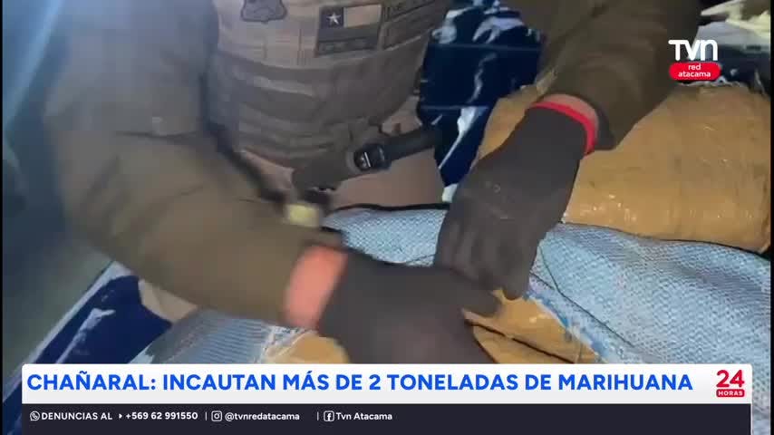 Incautan más de 2 toneladas de marihuana en Flamenco