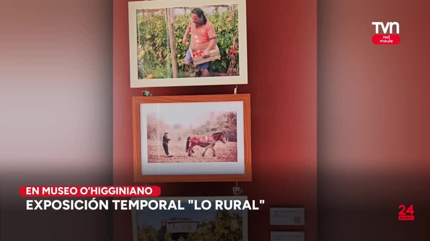 Actividades gratuitas para toda la familia