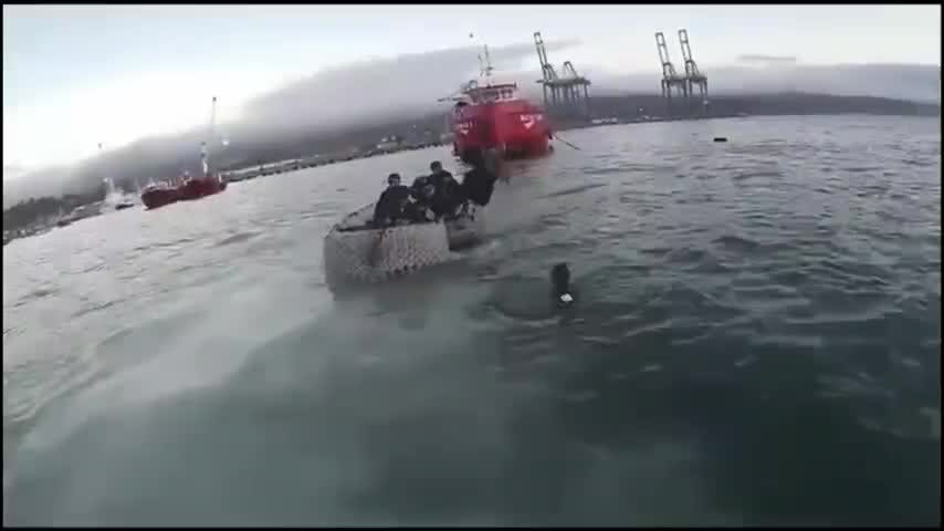 Prisión, arresto y el decomiso de la lancha pirata: resultados de arresto en Coronel