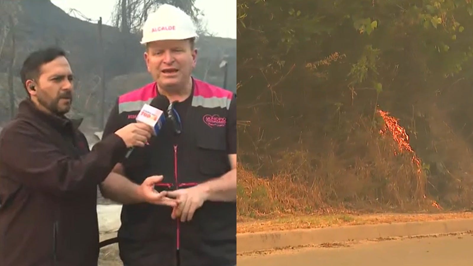 "Nos vamos a levantar": Alcalde de Penco entrega balance sobre la destrucción en la comuna por incendios