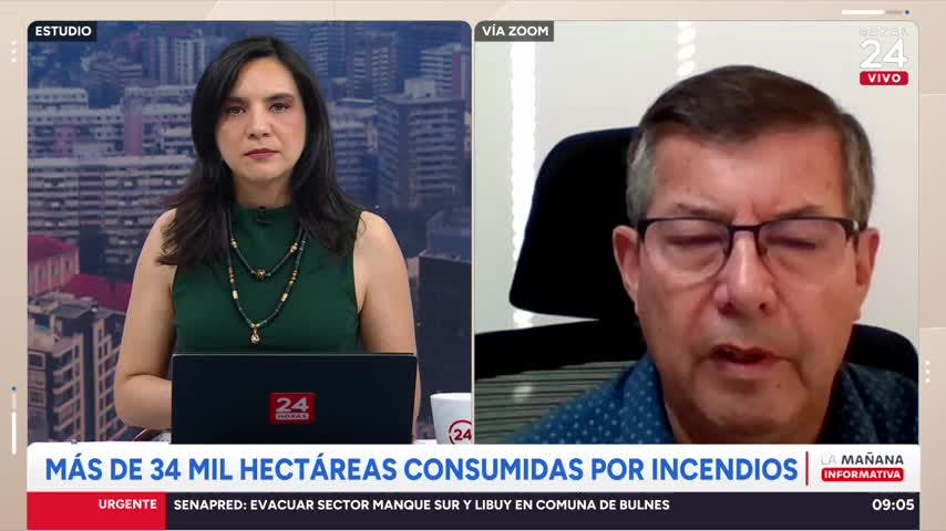 Tragedia en el Ñuble y Biobío: "Debemos desarrollar una cultura de incendios"