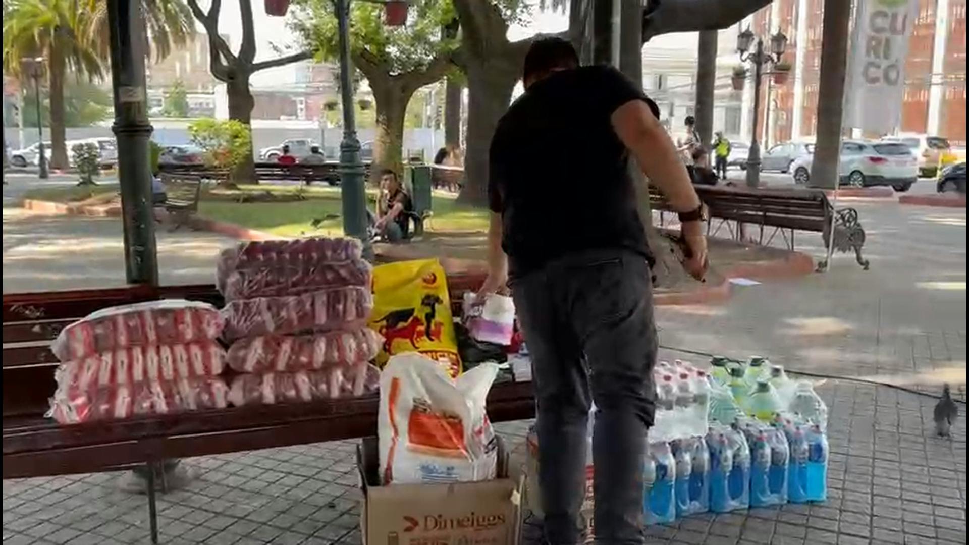 Maulinos se movilizan en apoyo a Ñuble y Biobío
