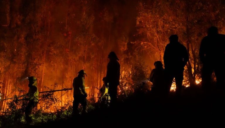 "Gente delincuente y terrorista": Investigan disparos a bomberos que combaten incendios en la región del Biobío