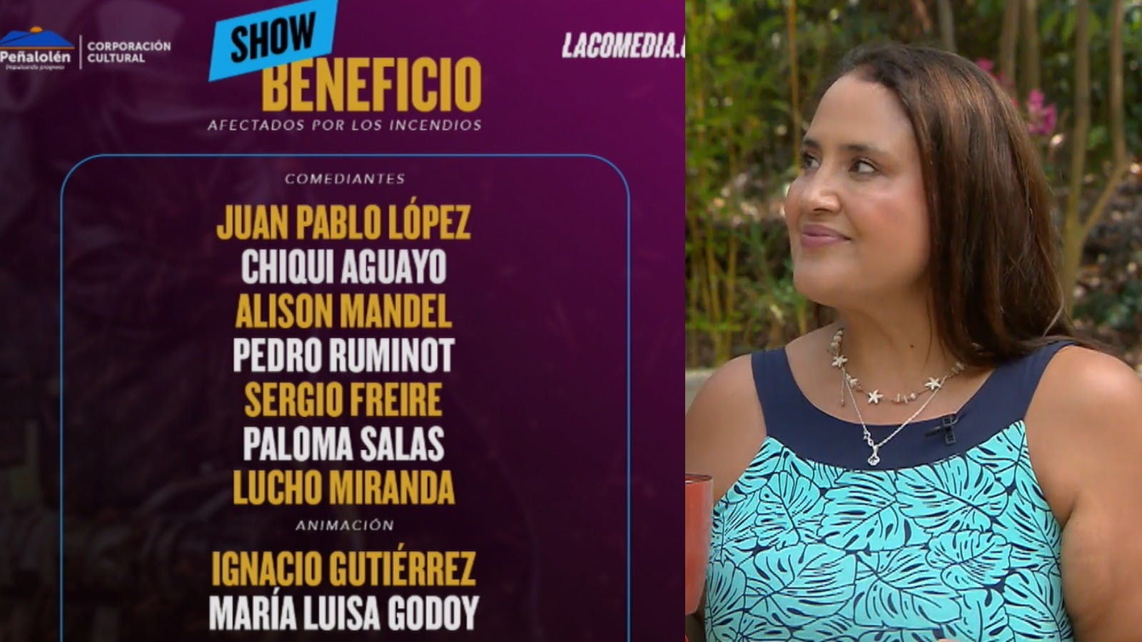 Comediantes se unen en evento a beneficio por los damnificados de incendios en el sur 