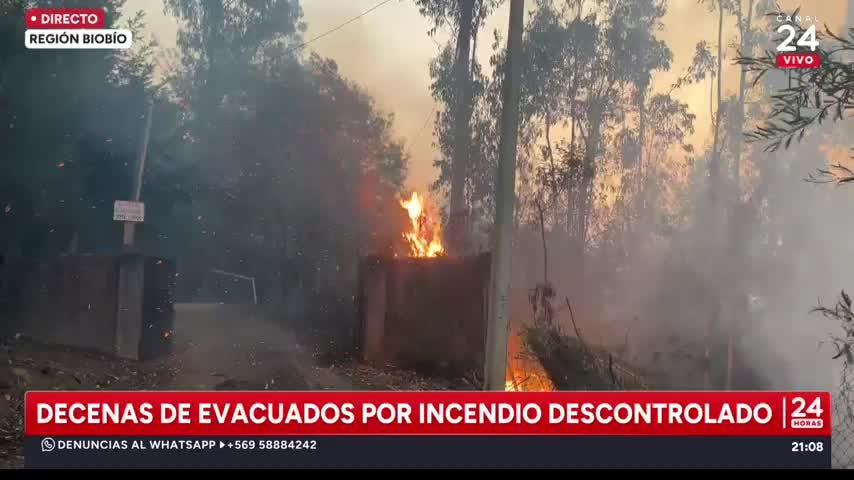 24 Horas Central - Miércoles 21 de enero 2026