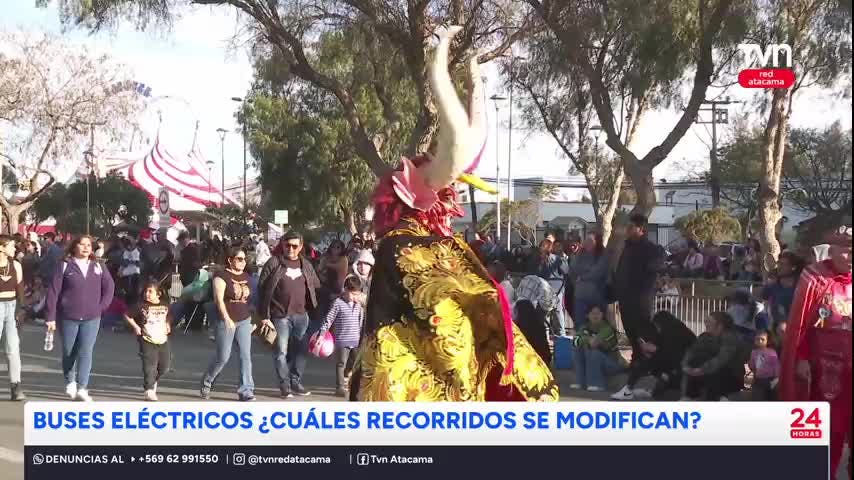 Rutas de buses eléctricos se adaptan a la Fiesta de la Candelaria