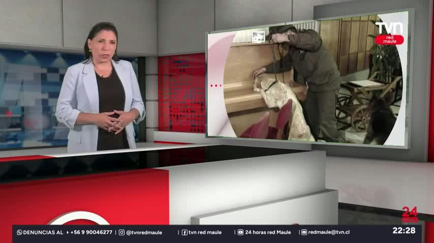 TVN Red Maule cumple 35 años