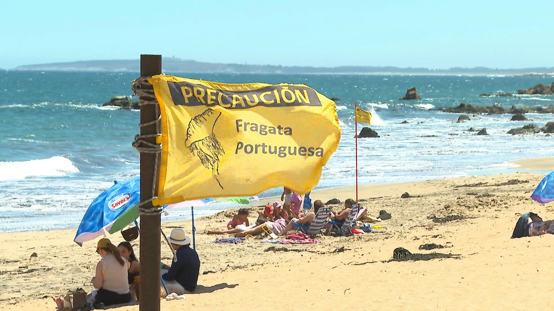 Cierran playa de concón por Fragata Portuguesa