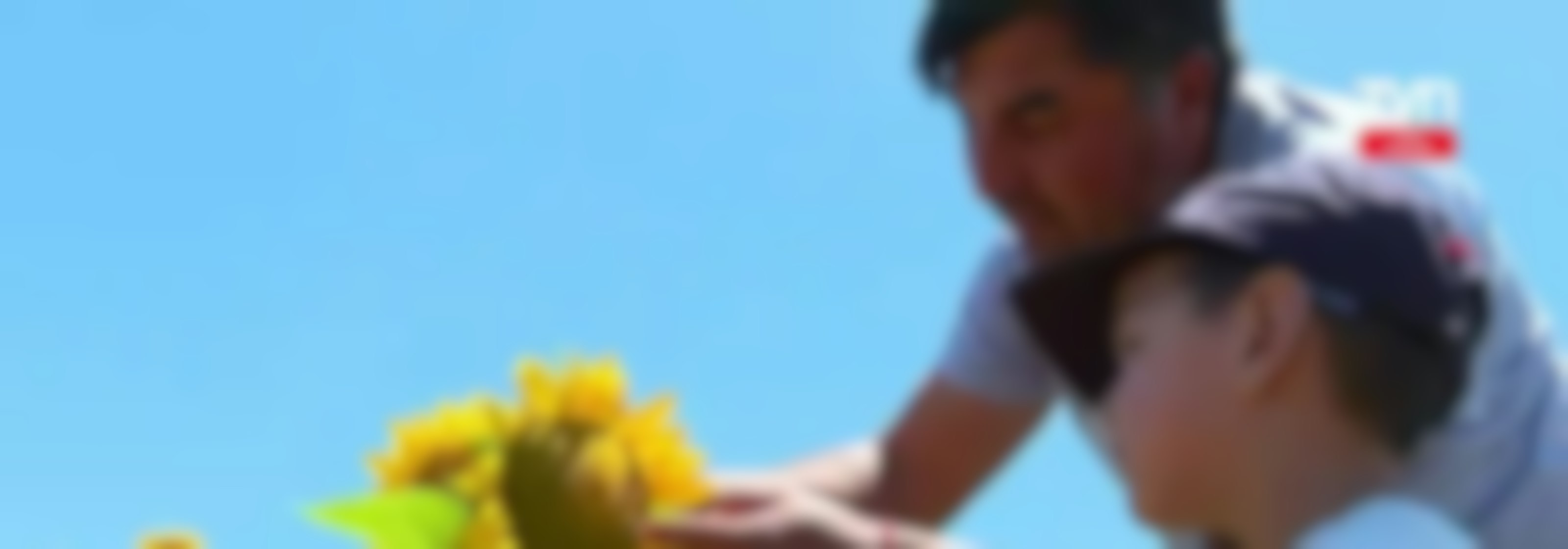 Campo de Girasoles ha llamado la atención