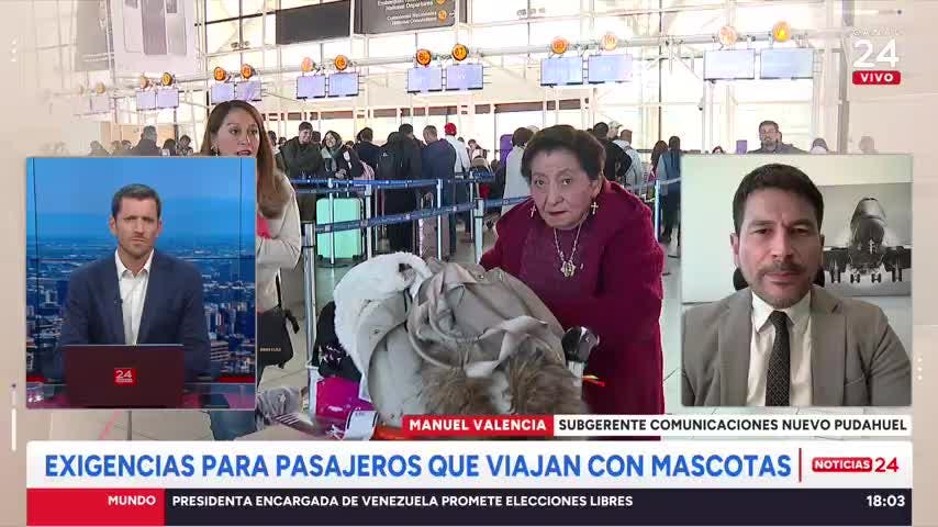 Viajes con mascotas: “Lo más importante es cumplir con un certificado zoosanitario de exportación”