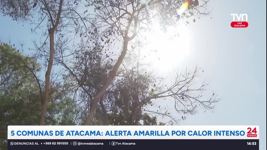 Alerta Amarilla por Calor Intenso en cinco comunas de la región