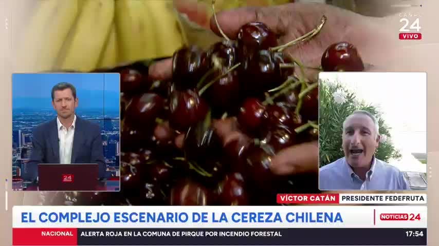 Presidente Fedefruta: “No ha pasado el boom de la cereza, pero no será tan rentable como lo fue, será más acotado”