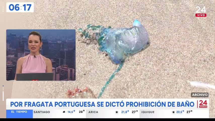 24 Horas Tu Mañana - Miércoles 4 de febrero 2026