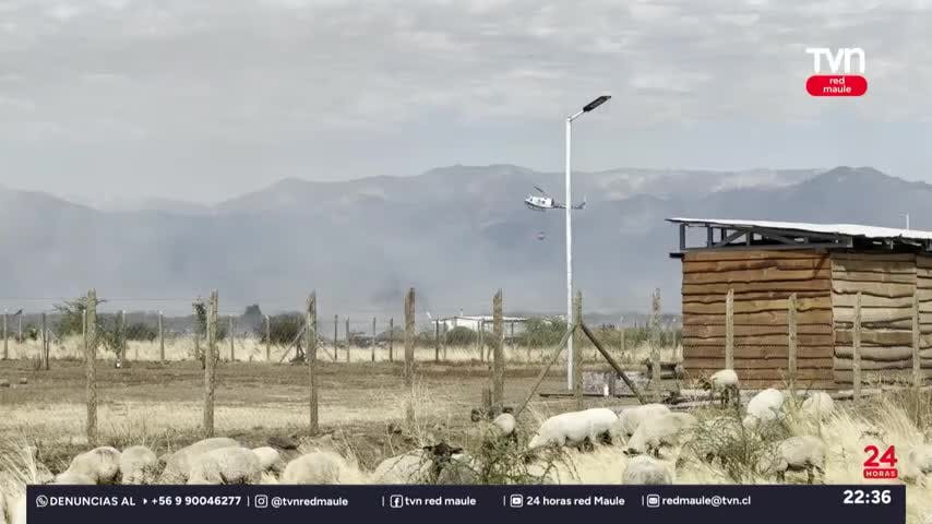 Incendio de Teno está circunscrito según bomberos