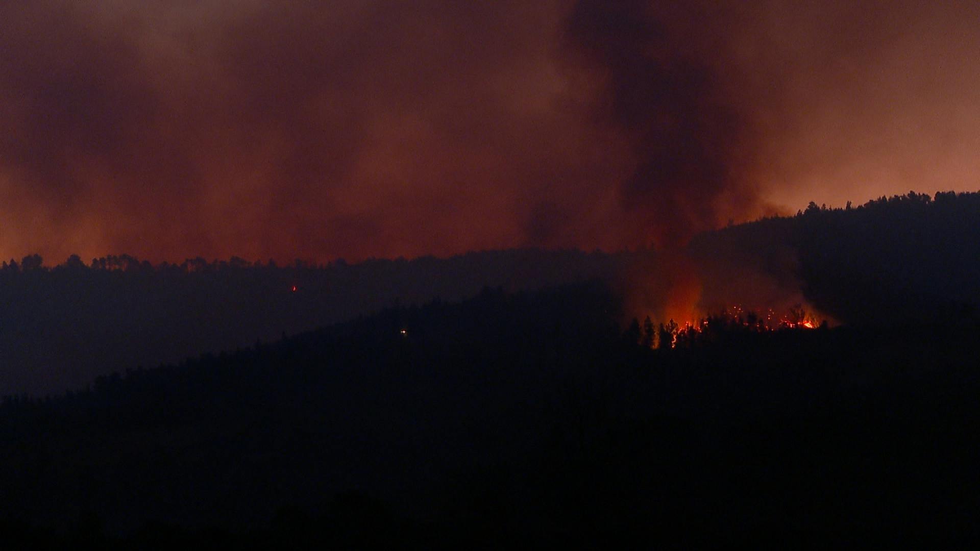CONAF realizó balance de incendios que afectan al Maule.