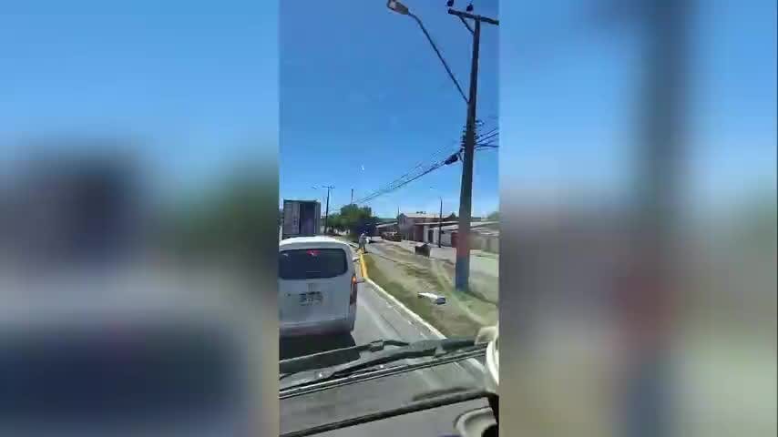 Protocolo de seguridad por reaparición de "gatos"