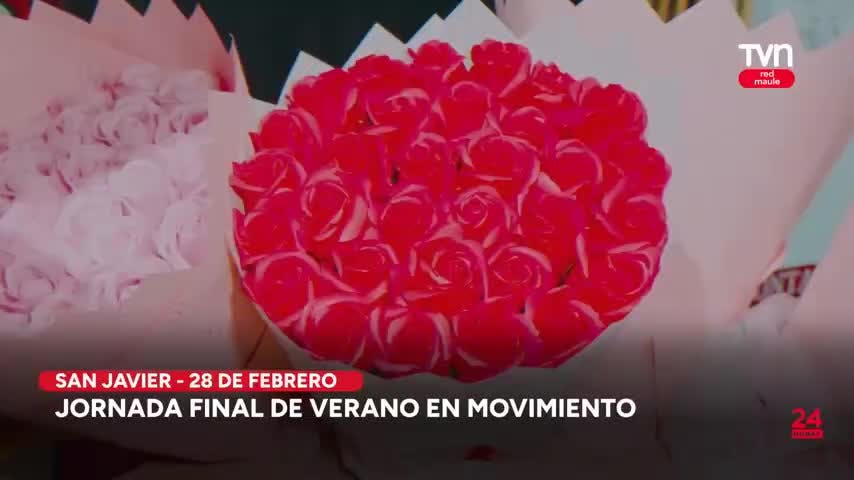 Trilla a yegua suelta en Vichuquén el 28 de febrero
