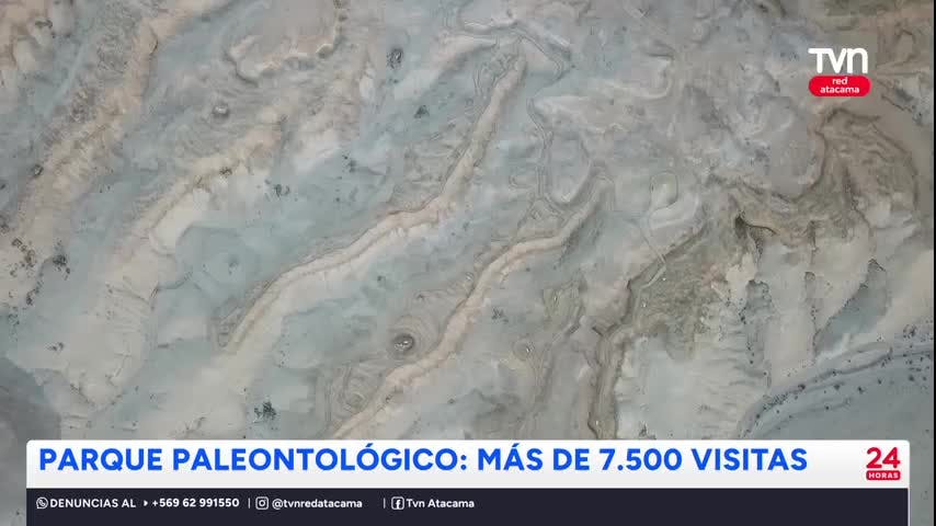 Miles de turistas visitan el Parque Paleontológico