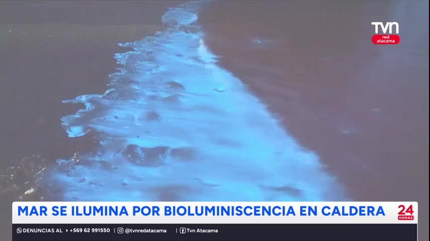 Caldera: Espectáculo natural ilumina las playas