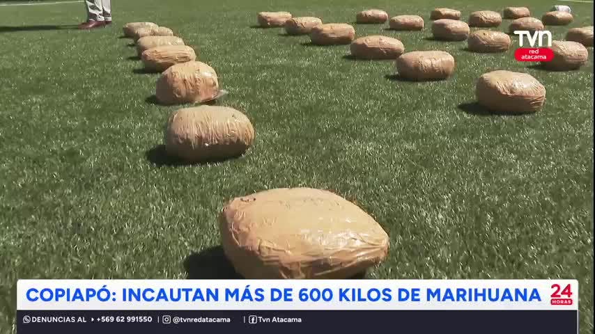 Copiapó: Incautan más de 600 kilos de marihuana