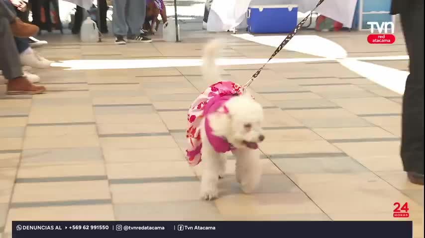 PANORAMAS PARA ESTE FIN DE SEMANA