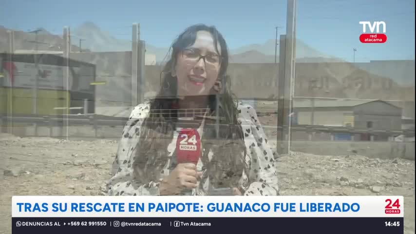 24 Horas al Día Red Atacama - 10 de Marzo 2026
