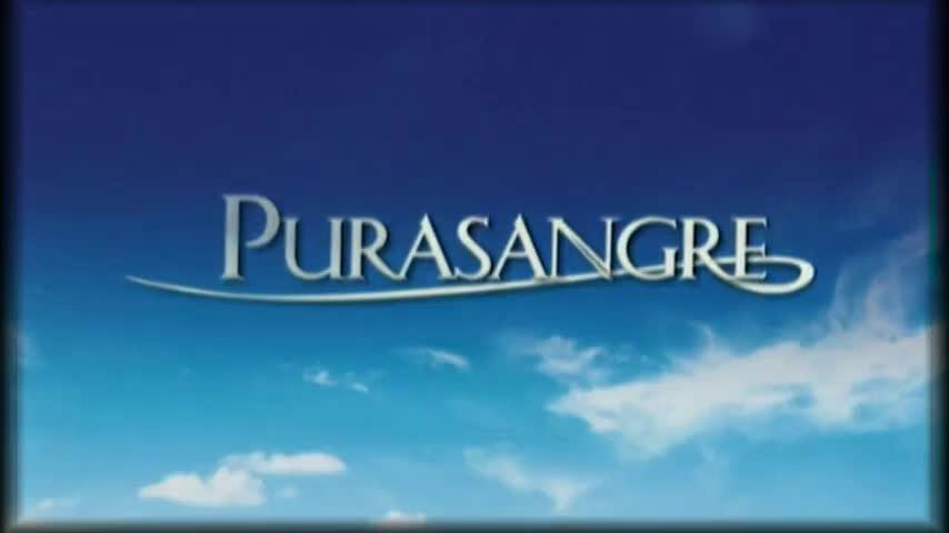 Purasangre | Documental: Cómo se hizo