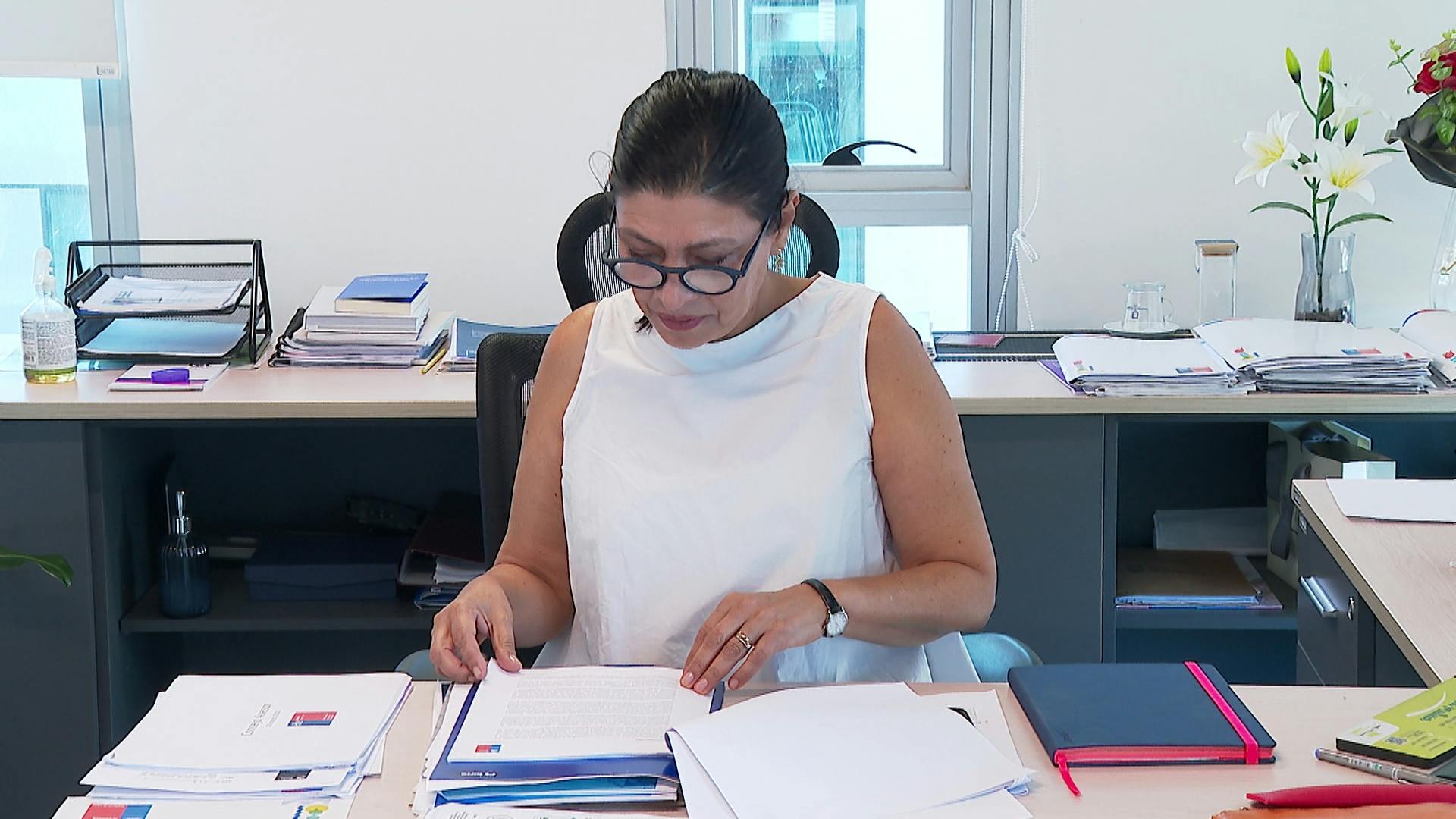 María Luz Gajardo descarta retrasos en plan de reconstrucción post incendios
