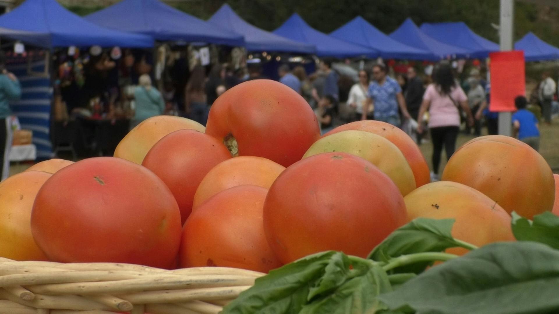 Fiesta del Tomate: Santa Juana se lució con la segunda edición de la celebración criolla