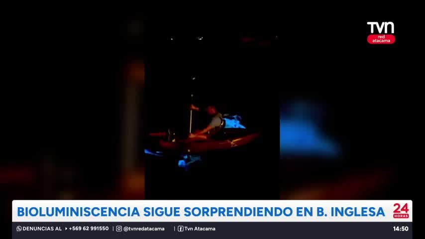 Bioluminiscencia sigue sorprendiendo en B. Inglesa