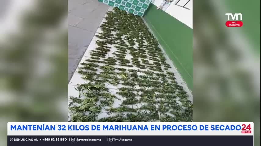 T. Amarilla: Incautan más de 32 kilos de marihuana