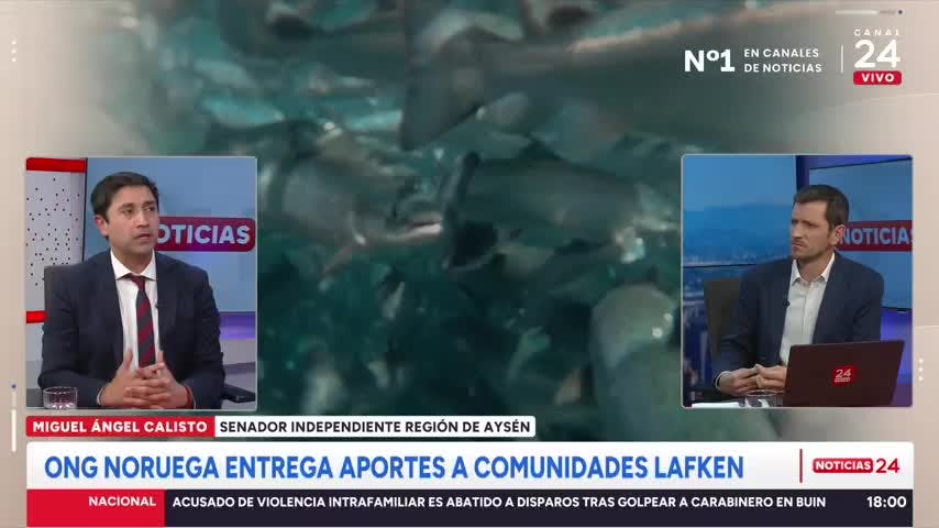 Senador Calisto y reportaje sobre salmones y aportes noruegos en el sur: “Las ONGs actúan deteniendo actividades productivas muy importantes”