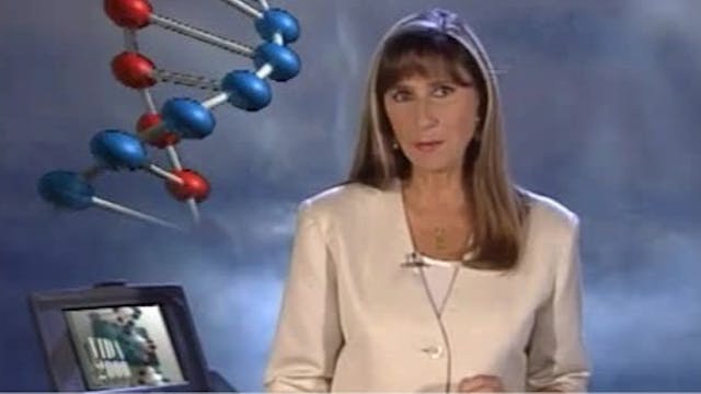 Vida 2000 | T1E7