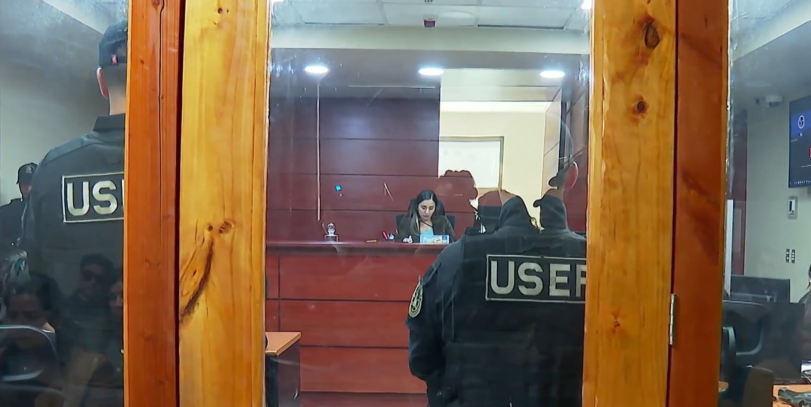 "¿Quién me grabó pateando?": El video donde "La Jauría del Biobío" celebró golpiza a joven de 20 años 