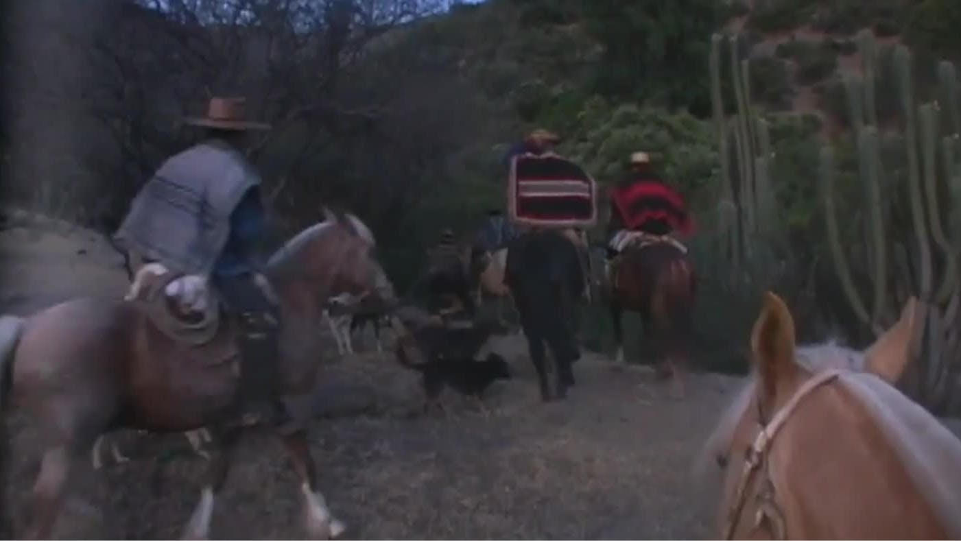 Alicahue: Tierra ganadera | Frutos del país - T3E5