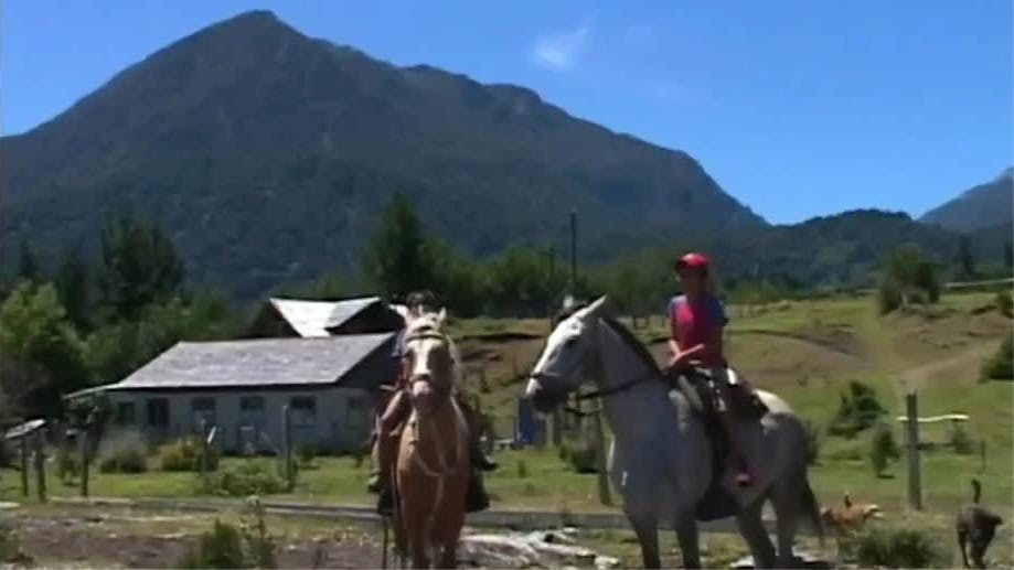 Las Gaviotas | Frutos del país - T3E6