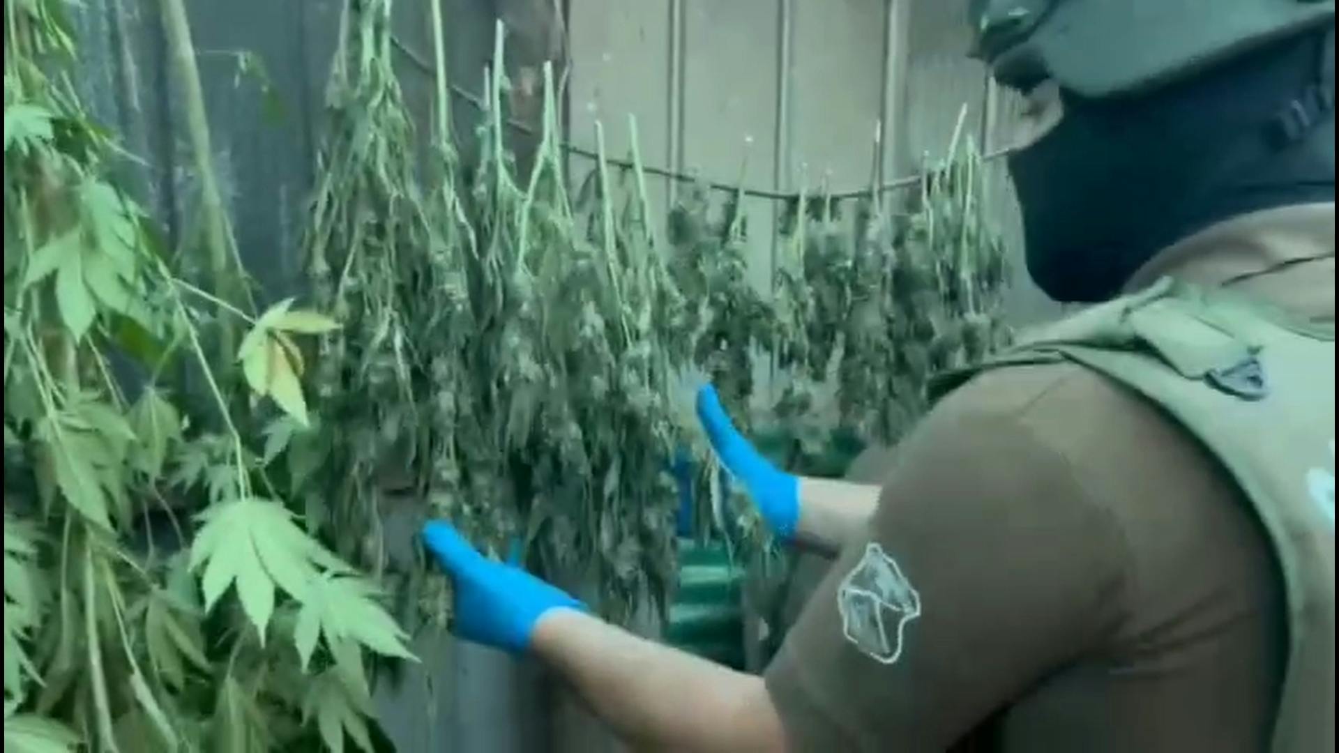 OS-7 de Carabineros de Ñuble detiene a dos hombres e incauta más de 7 kilos de droga