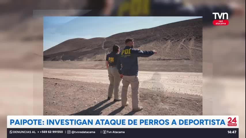 Paipote: Investigan ataque de perros a deportista