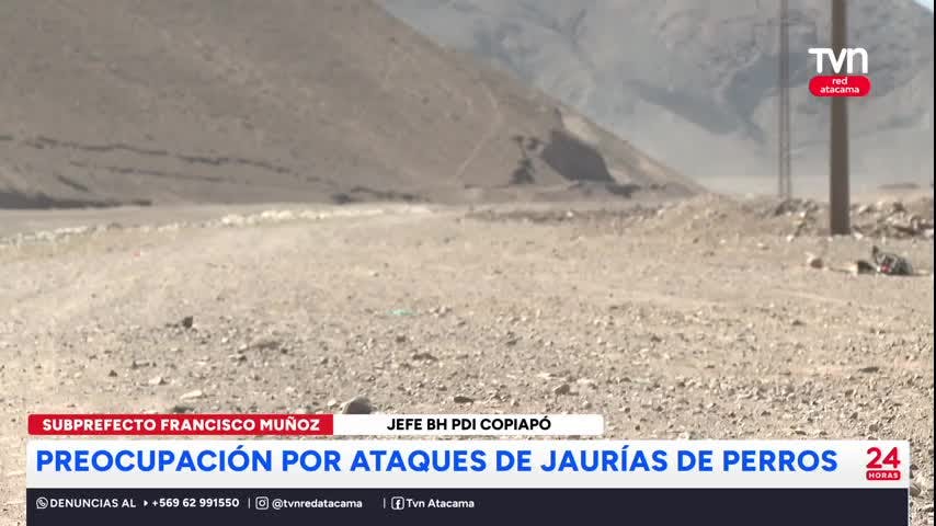 Ataques de perros generan preocupación en la comunidad