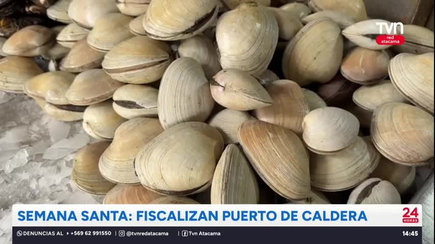 Semana Santa: Fiscalizan puerto de Caldera