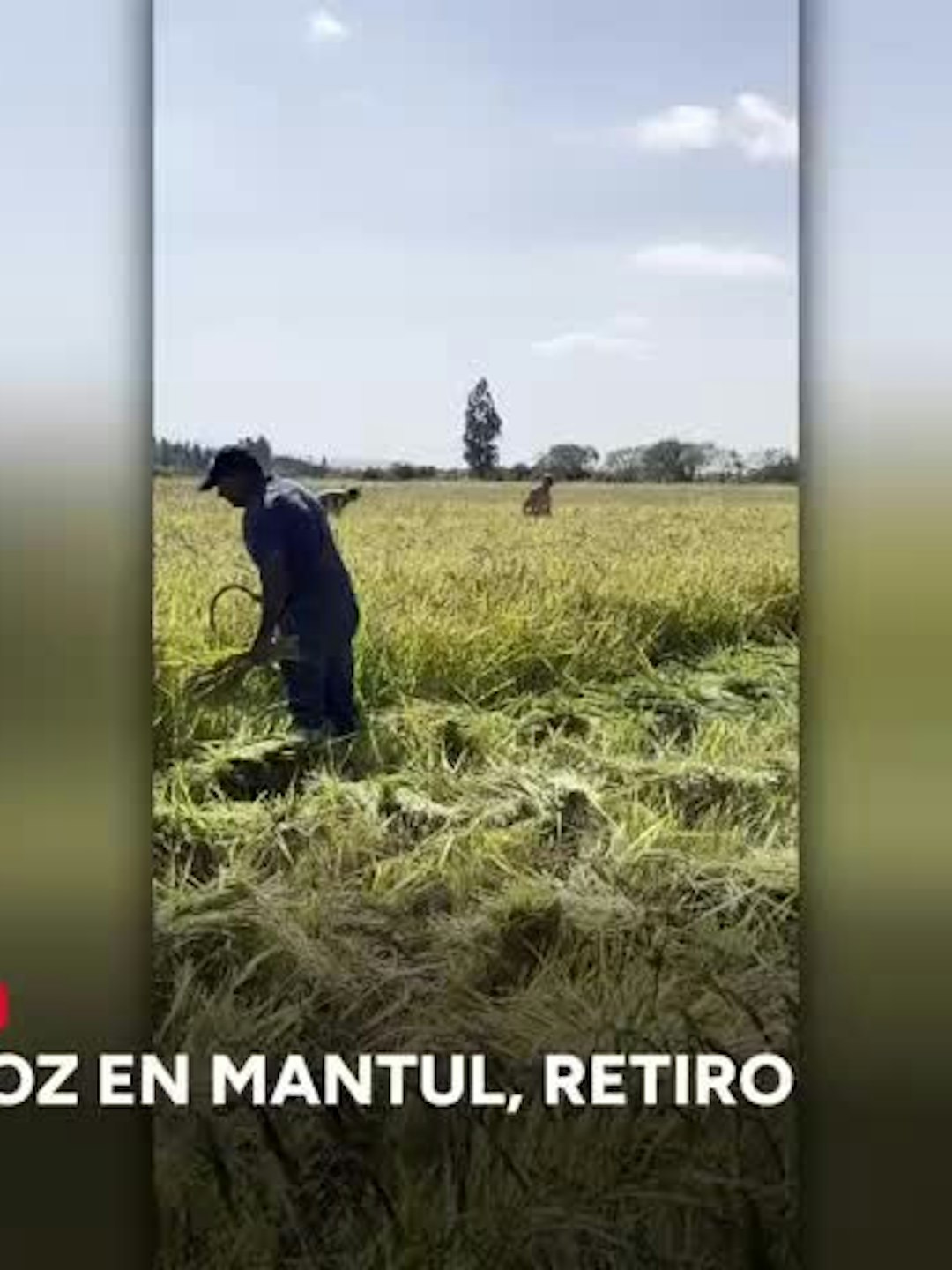 Panoramas familiares en el Maule